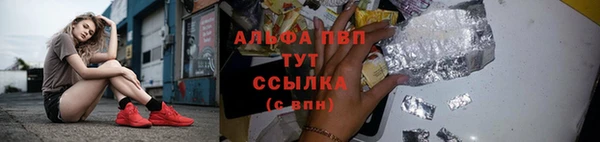 стафф Аркадак