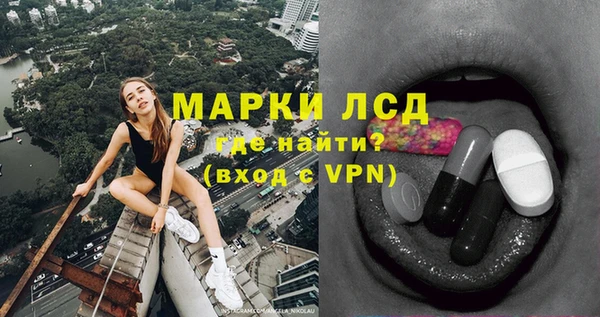 ПСИЛОЦИБИНОВЫЕ ГРИБЫ Арсеньев