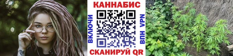 где найти   Полесск  Канабис MAZAR 